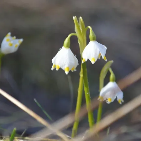 Pensjonat Na Pstrążnicy 3*