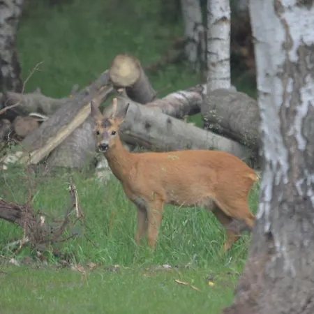Na Pstrążnicy 3* Kudowa-Zdrój