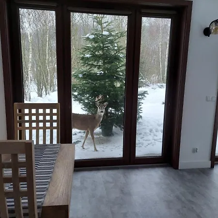 Na Pstrążnicy 3* Kudowa-Zdrój