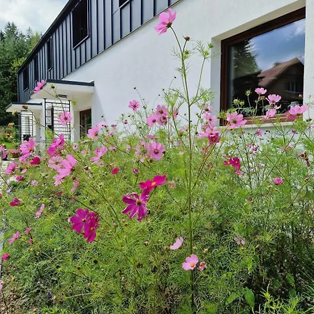 Guest house Na Pstraznicy Kudowa Zdroj
