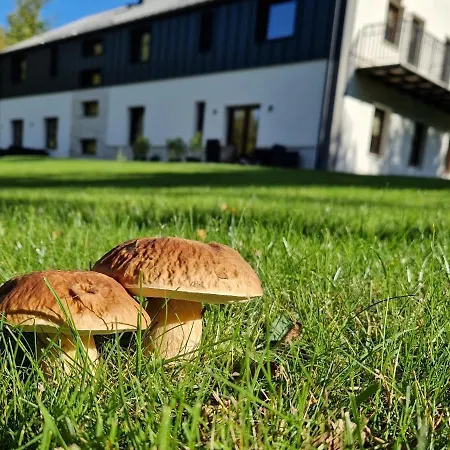 Na Pstrążnicy 3* Kudowa-Zdrój