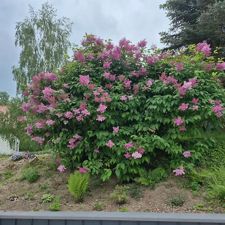Na Pstraznicy Kudowa-Zdrój