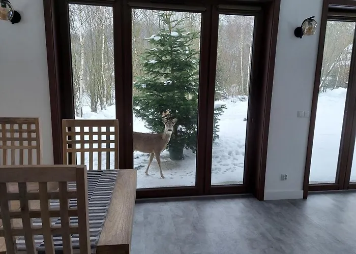 Na Pstraznicy 3* Kudowa-Zdrój