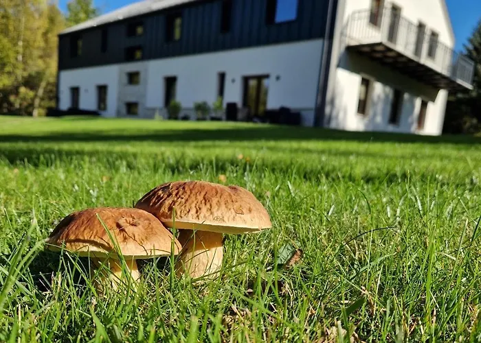 Na Pstraznicy 3* Kudowa-Zdrój